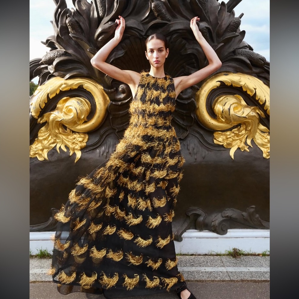 NEW NWT Ulla Johnson Artem Gown Celeste Silk Organza Dress $3200 Runway - Picture 2 of 16